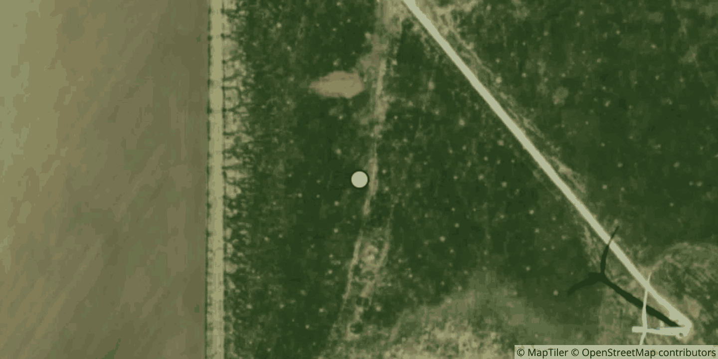 Aerial view of Project Dorothy 2