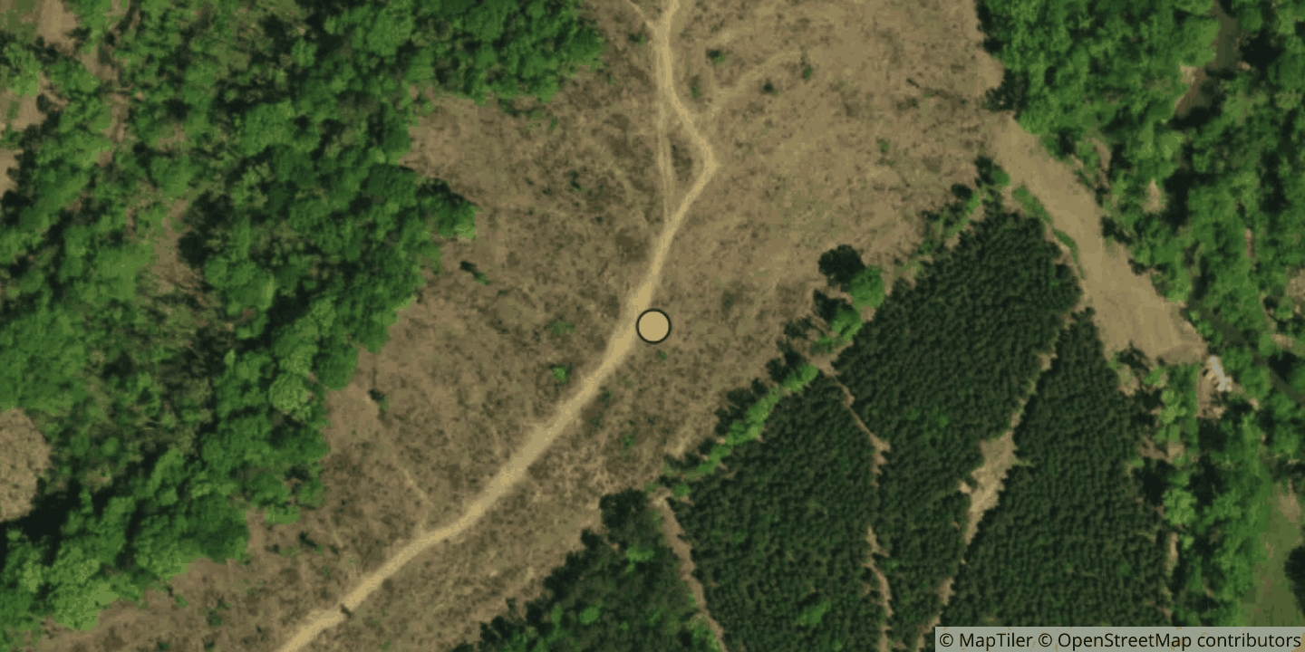 Aerial view of TigerDC SC1 - Phase 1B